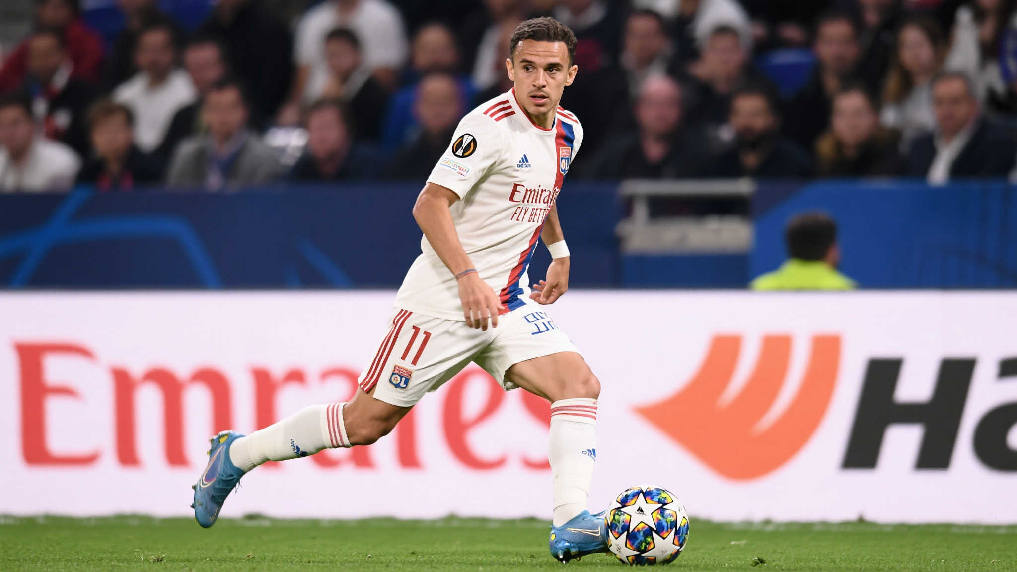 乐鱼体育客户中心